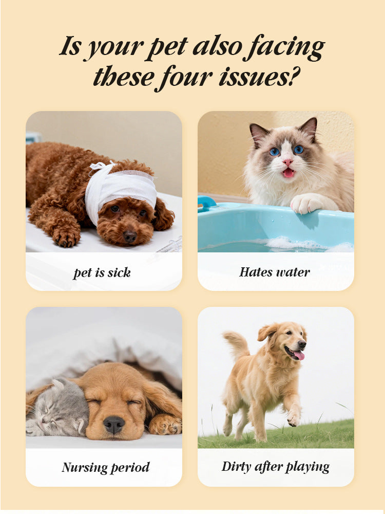Anti-Slip Pet Glove 6pcs - Hair Removal & Grooming
