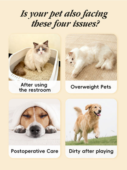 Flushable Dog Butt Wipes 12ct - Toilet Safe Pet Hygiene Wipes