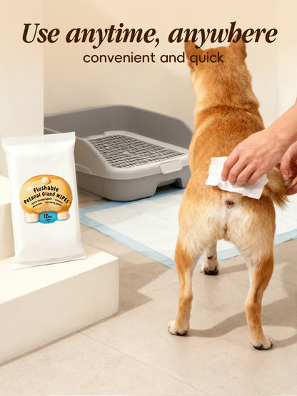 Flushable Dog Butt Wipes 12ct - Toilet Safe Pet Hygiene Wipes