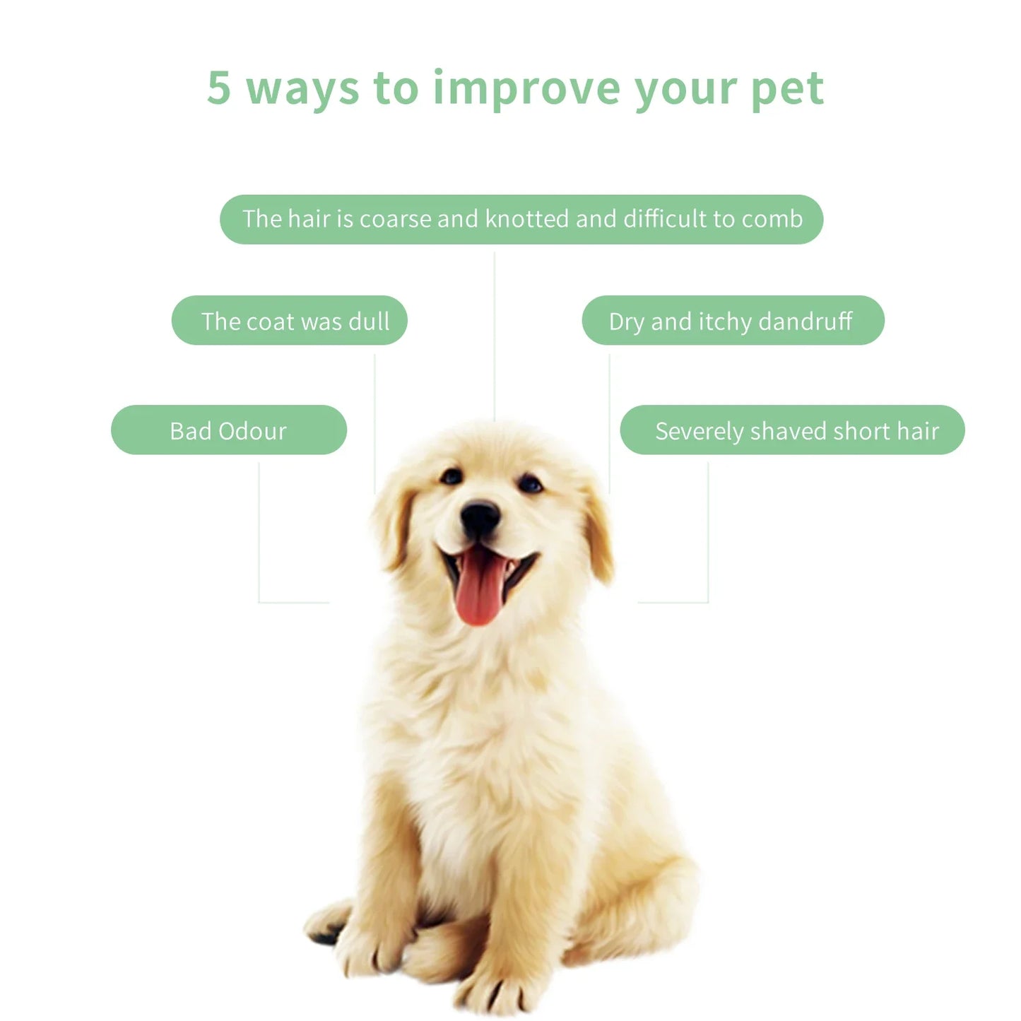 228ML Pet Grooming Shampoo