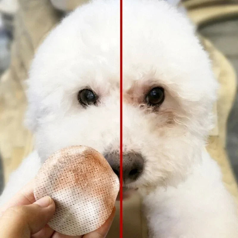 Pet Eye Wipes Dog and Cat Cleaning Wipes Pet Eye Wipes Grooming Tear Stain Remover Gentle Non-foaming Wipes Towels