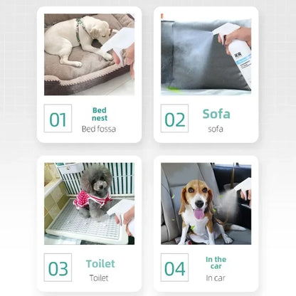 Cat Dog Urine Pet Biological Enzyme Deodorant Dog Cat Indoor Deodorant and Deodorant Spray