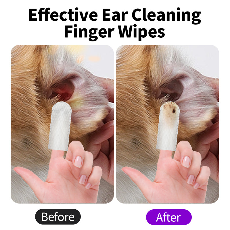 Pet Ear Cleaning Wipes 50ct - Green Tea Scent for Dogs