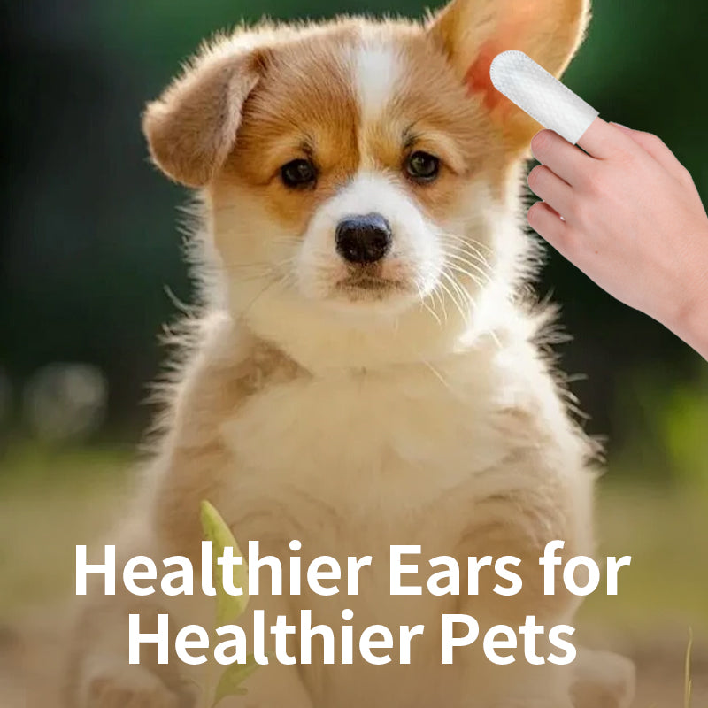 Pet Ear Cleaning Wipes 50ct - Green Tea Scent for Dogs