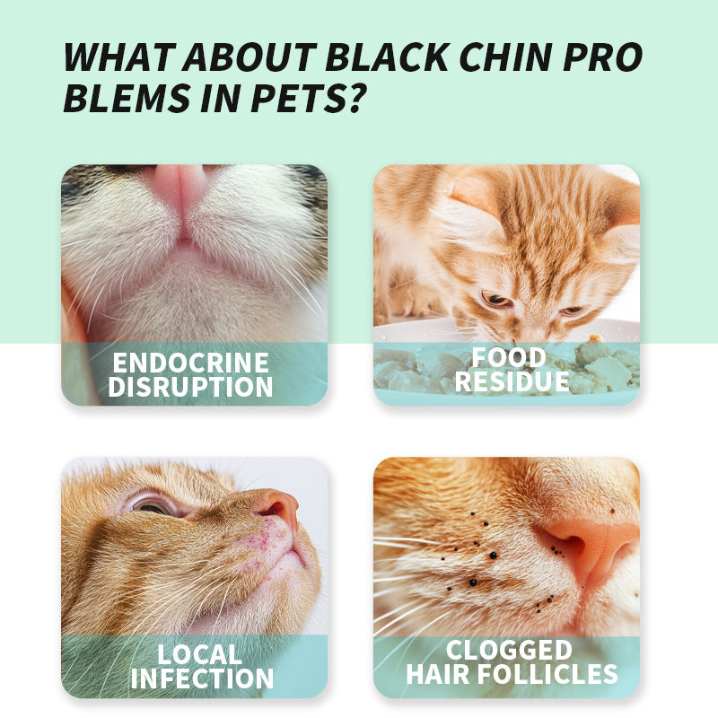 Pet Chin Wipes 50ct - Acne & Oil Removal for Dogs & Cats