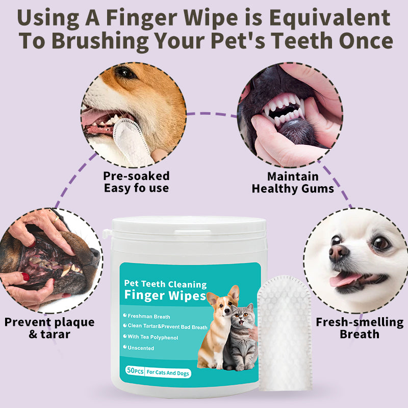 Pet Dental Finger Wipes 50ct - Teeth Cleaning & Fresh Breath