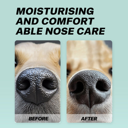 Pet Nose Wipes 50ct - Moisturizing Dry Nose Care for Dogs
