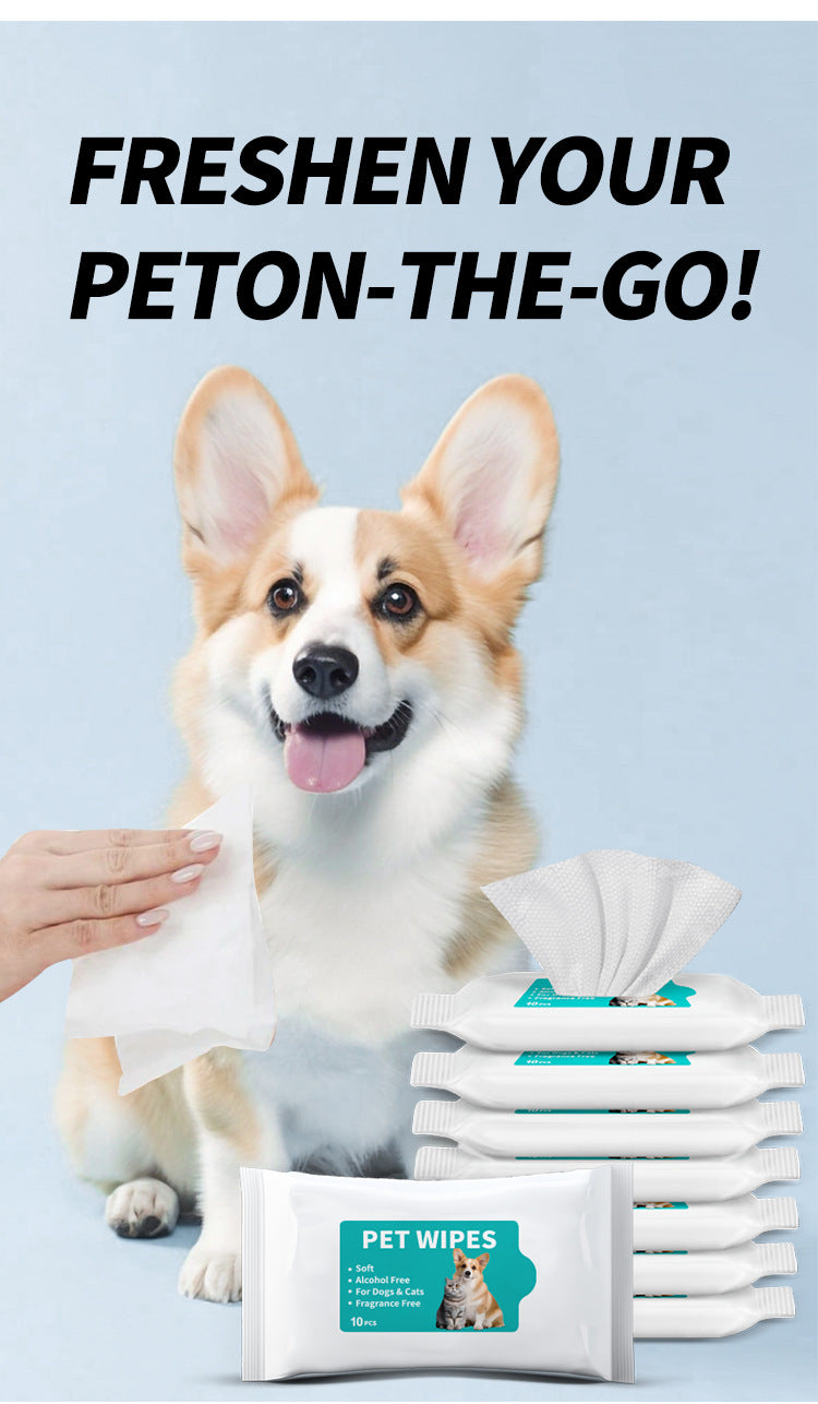 Travel Dog Wipes 10ct - Portable Pet Cleaning Wipes
