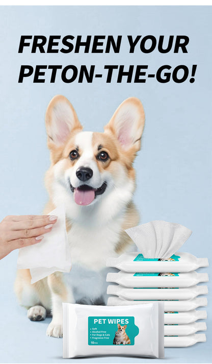 Travel Dog Wipes 10ct - Portable Pet Cleaning Wipes
